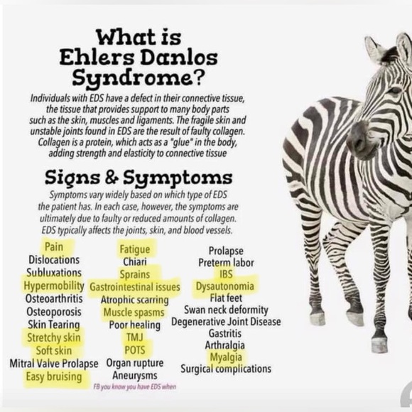 LIKE THIS LISTING to get notified I’m going Live…  @daustinwest 🥰 🥳 ❤️✨ - Picture 3 of 7